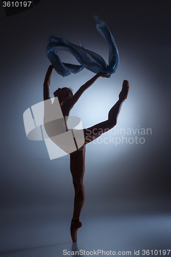 Image of The beautiful ballerina dancing with blue veil