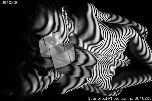 Image of The nude woman with black and white zebra stripes