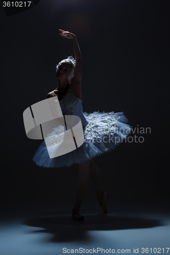 Image of Portrait of the ballerina in ballet tatu on dack background