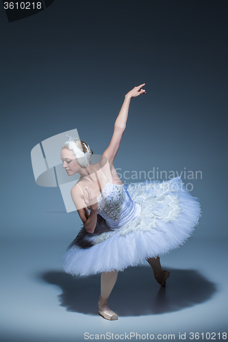 Image of Portrait of the ballerina in ballet tatu on blue background