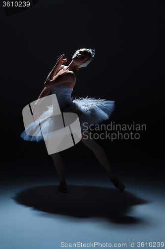 Image of Portrait of the ballerina in ballet tatu on dack background