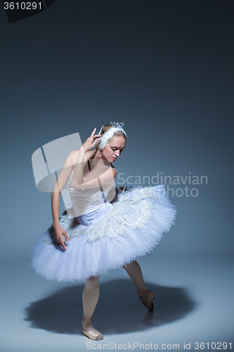 Image of Portrait of the ballerina in ballet tatu on blue background