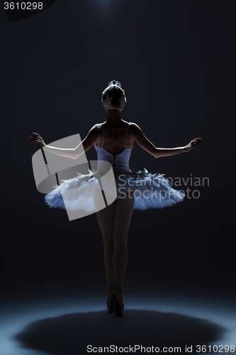 Image of Portrait of the ballerina in ballet tatu on dack background