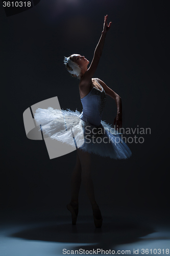 Image of Portrait of the ballerina in ballet tatu on dack background