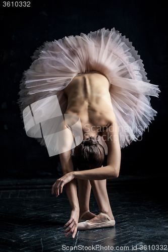 Image of Beautiful ballerina  posing leaning on dack background