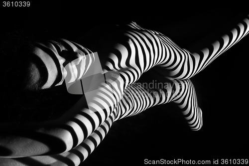 Image of The nude woman with black and white zebra stripes