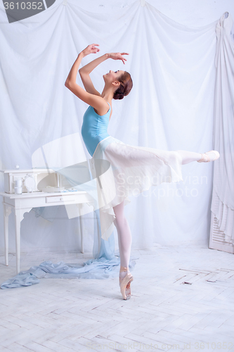 Image of Professional ballet dancer posing on white