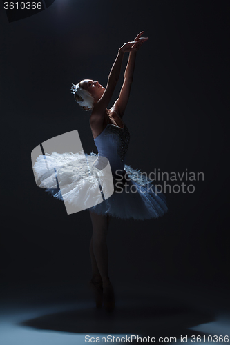 Image of Portrait of the ballerina in ballet tatu on dack background