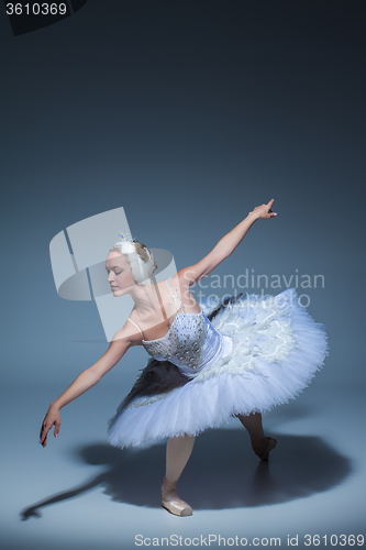 Image of Portrait of the ballerina in ballet tatu on blue background