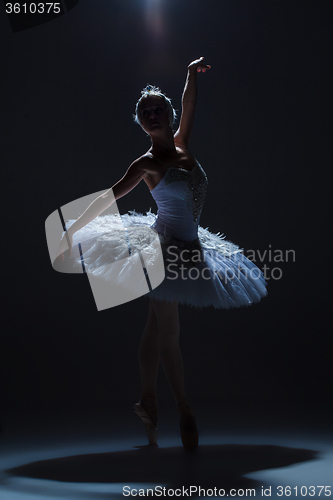 Image of Portrait of the ballerina in ballet tatu on dack background