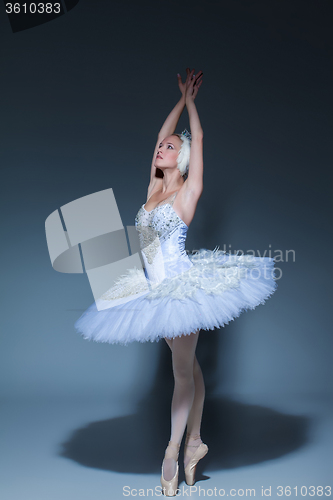 Image of Portrait of the ballerina in ballet tatu on blue background