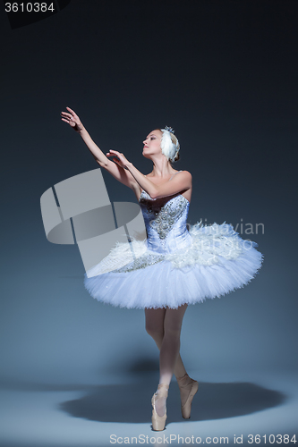 Image of Portrait of the ballerina in ballet tatu on blue background