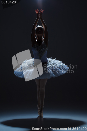 Image of Portrait of the ballerina in ballet tatu on dack background
