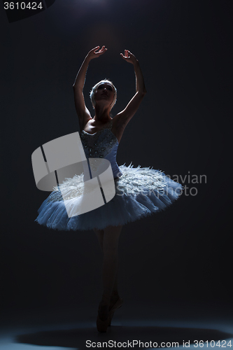 Image of Portrait of the ballerina in ballet tatu on dack background