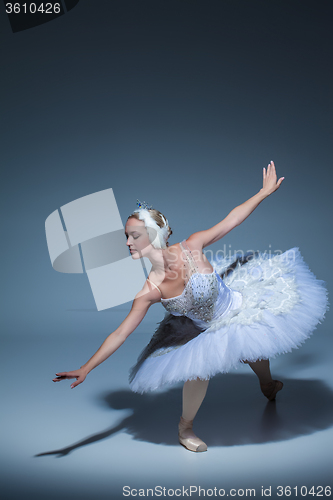 Image of Portrait of the ballerina in ballet tatu on blue background