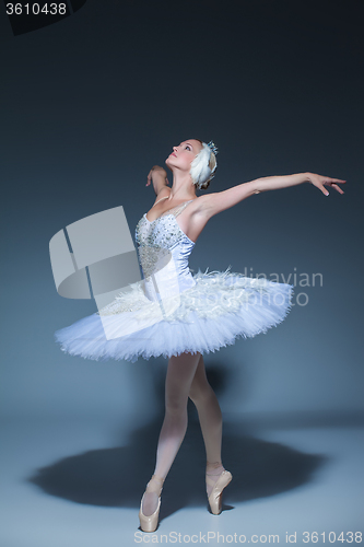 Image of Portrait of the ballerina in ballet tatu on blue background