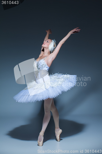 Image of Portrait of the ballerina in ballet tatu on blue background