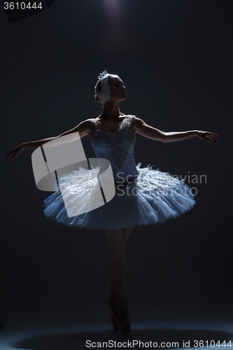 Image of Portrait of the ballerina in ballet tatu on dack background