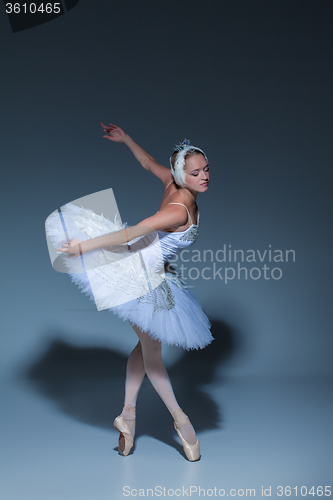 Image of Portrait of the ballerina in ballet tatu on blue background