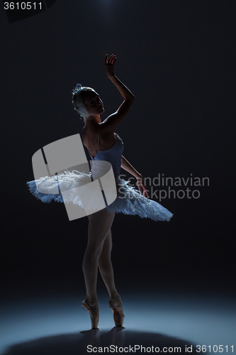 Image of Portrait of the ballerina in ballet tatu on dack background