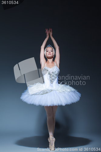 Image of Portrait of the ballerina in ballet tatu on blue background