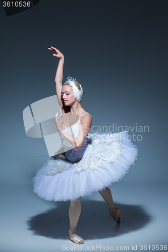 Image of Portrait of the ballerina in ballet tatu on blue background