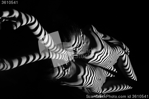 Image of The nude woman with black and white zebra stripes