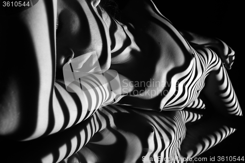 Image of The nude woman with black and white zebra stripes