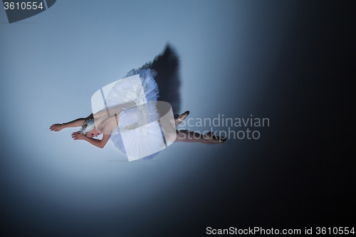 Image of Portrait of the ballerina in ballet tatu on blue background