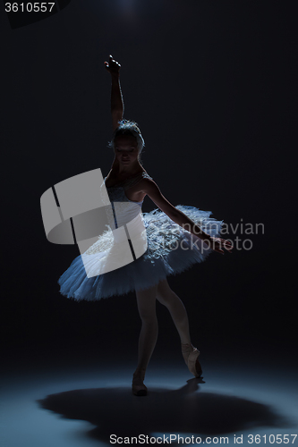 Image of Portrait of the ballerina in ballet tatu on dack background