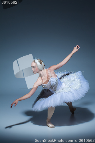 Image of Portrait of the ballerina in ballet tatu on blue background