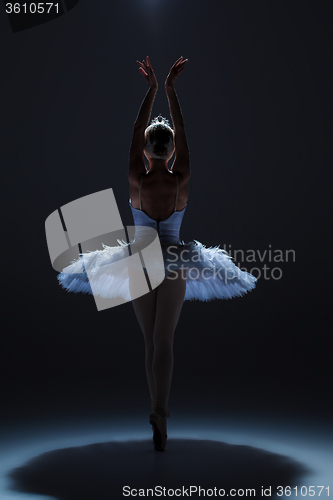 Image of Portrait of the ballerina in ballet tatu on dack background