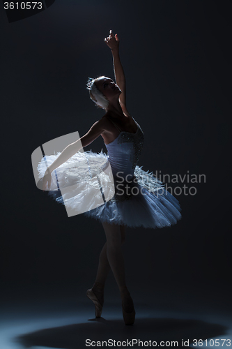 Image of Portrait of the ballerina in ballet tatu on dack background