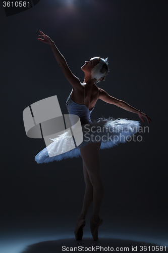 Image of Portrait of the ballerina in ballet tatu on dack background