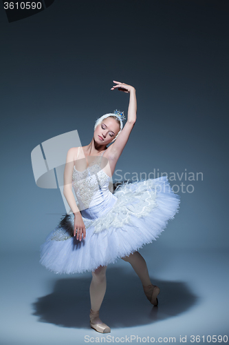 Image of Portrait of the ballerina in ballet tatu on blue background