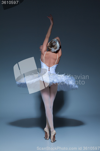 Image of Portrait of the ballerina in ballet tatu on blue background