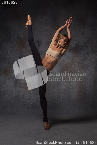 Image of Young beautiful modern style dancer posing on a studio background