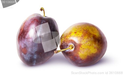 Image of Supine and standing ripe violet plum