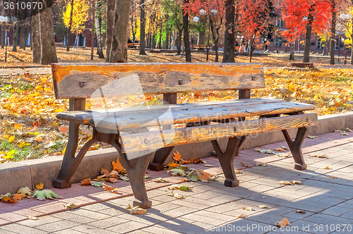 Image of Lonely old bench in autumn city park on a sunny day