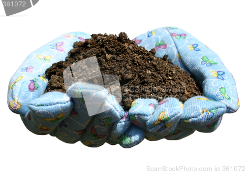 Image of Good Soil