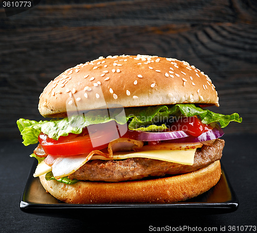 Image of fresh tasty burger