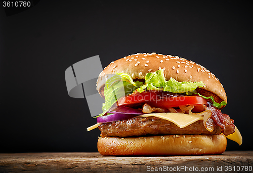 Image of fresh tasty burger