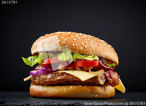 Image of fresh tasty burger