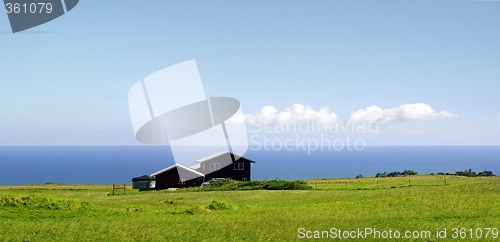 Image of Farm by the ocean
