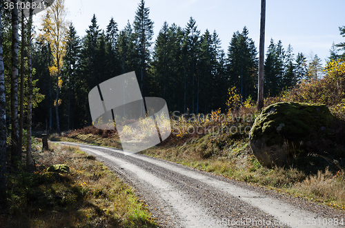 Image of Fall at the gravel road