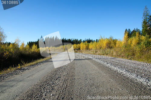 Image of Colorful gravel road