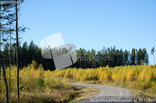 Image of Colorful gravel road curve