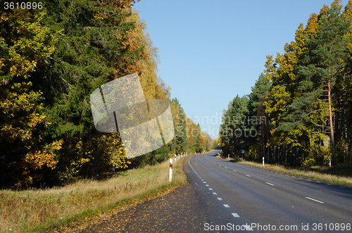 Image of Colorful road