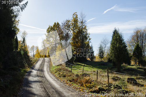 Image of Countryside gravel road