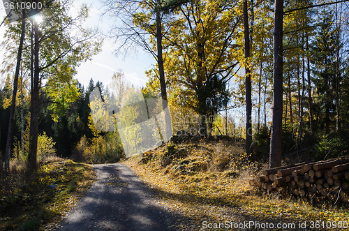 Image of Shiny colorful gravel road